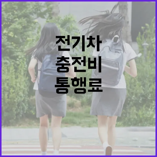 중고전기차 사려면 이렇게 확인하세요: 배터리, 충전비, 통행료까지 보는 방법 - 요약