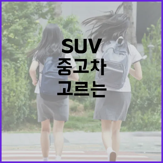 SUV중고차 고르는 방법, 예산부터 통행비까지 덜 새게 보는 법 - 요약