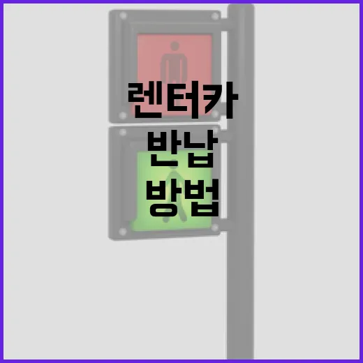 중고렌트카 고르는 방법, 보험·하이패스·반납 이력까지 보는 순서 - 요약