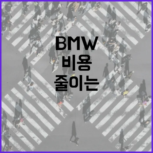 BMW중고 고를 때 비용 새는 곳 줄이는 방법 - 요약