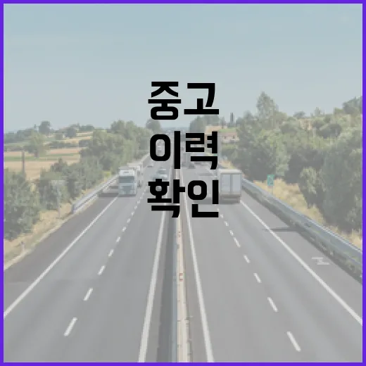 중고렌트카 고르는 방법, 렌터카 이력부터 하이패스 미납까지 확인하려면 이렇게 - 요약