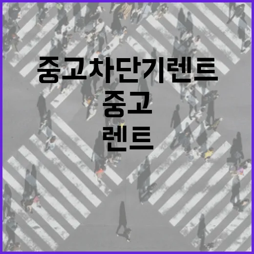 중고차단기렌트 처음이라면 이렇게 확인하면 됩니다 - 요약