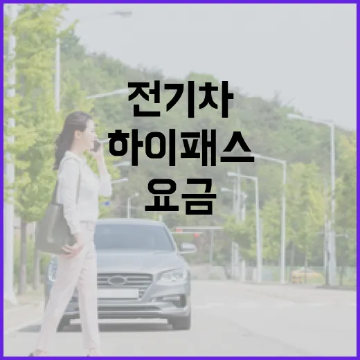 전기차중고 고르는 방법, 배터리·충전요금·하이패스까지 확인하려면 이렇게 - 요약