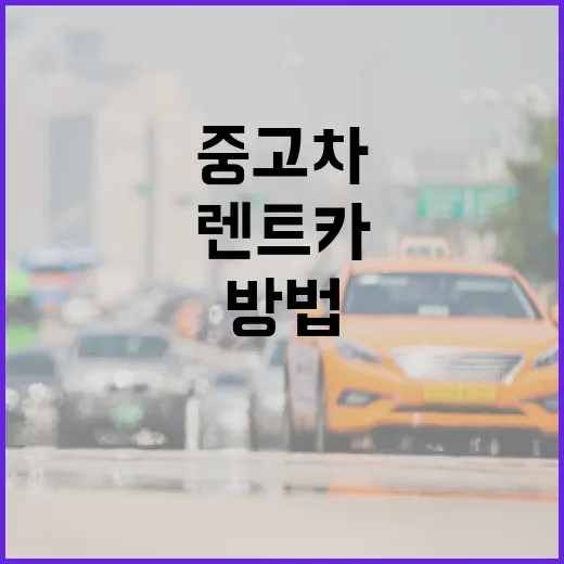 중고차렌트카 이용하는 방법, 보증금부터 하이패스·반납비까지 확인하는 순서 - 요약