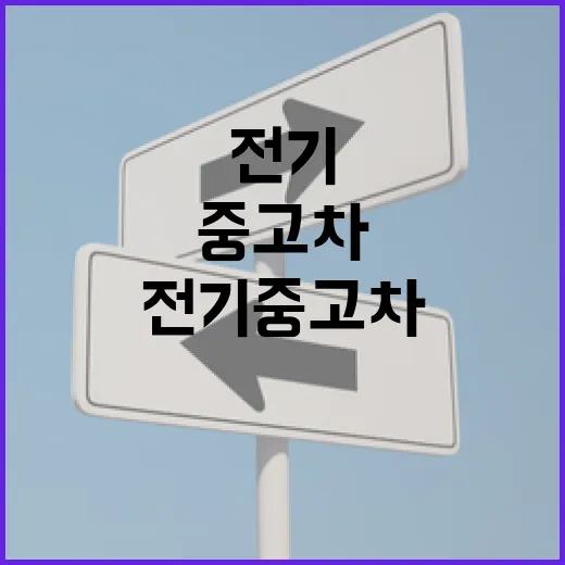 전기중고차 사려면 배터리와 충전비부터 확인하는 방법 - 요약