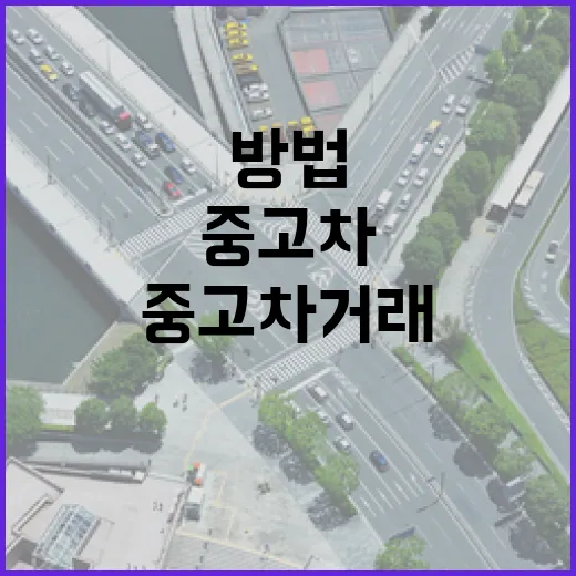 중고차거래 초보자가 손해 줄이는 방법: 이전비, 보험, 하이패스까지 체크하기 - 요약