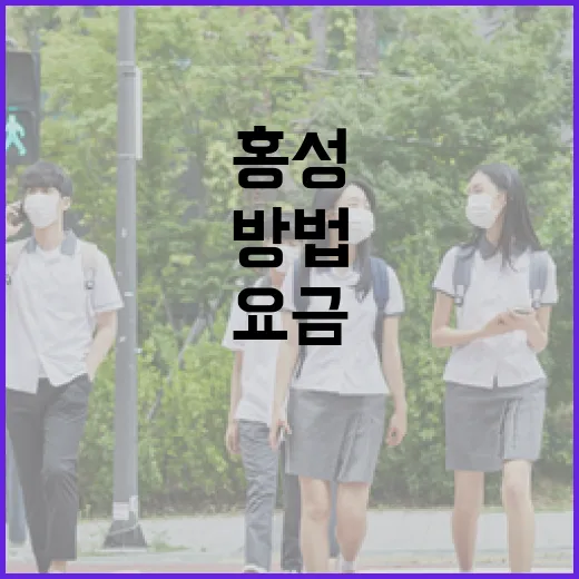 홍성대리운전 부르기 전 요금·위치·환승 동선 확인하는 방법 - 요약