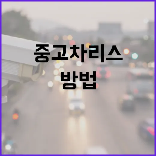 중고차리스 처음 알아보는 방법, 월 납입액보다 먼저 봐야 할 것들 - 요약