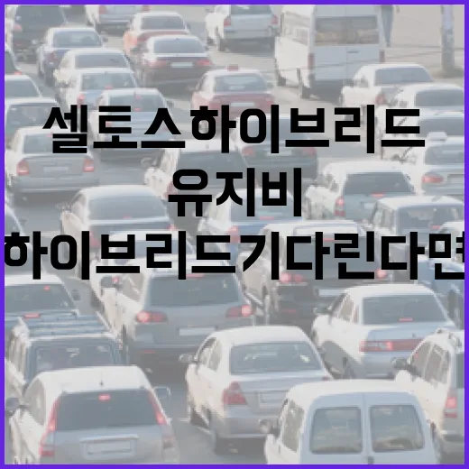 셀토스하이브리드 기다린다면 유지비 계산하는 방법 - 요약