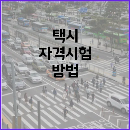 택시운전사 되는 방법, 자격시험부터 카드결제 흐름까지 처음 준비하는 순서 - 요약