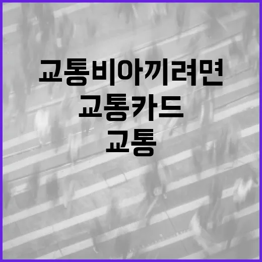 장윤기 이채원처럼 교통비 아끼려면 이렇게 환승·교통카드 기록을 보면 됩니다 - 요약