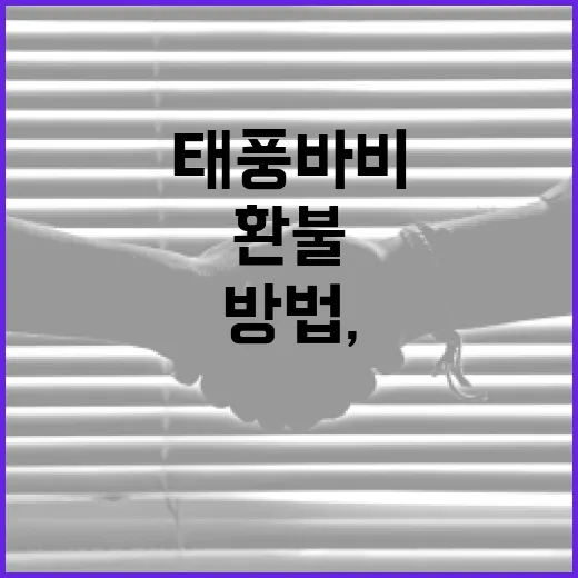 태풍 바비 같은 강풍 때 대중교통 이용하는 방법, 환불·환승·우회까지 챙기기 - 요약