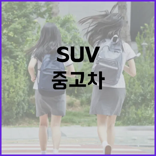 SUV중고차 고르는 방법, 출퇴근·톨비·주차비까지 계산하려면 이렇게 - 요약