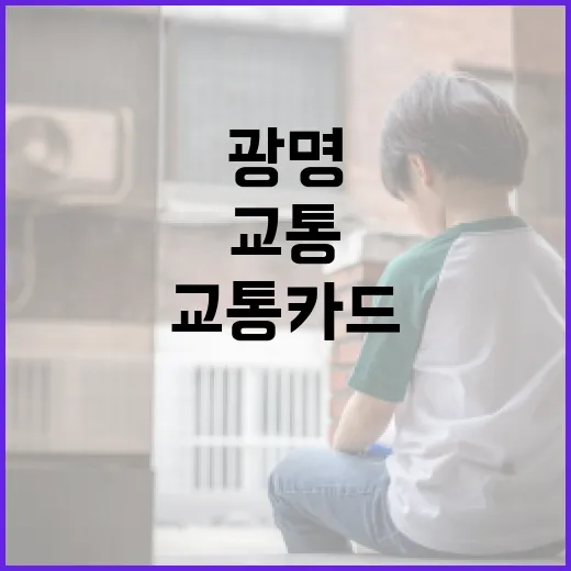 임오경 일정 보러 광명·국회 이동하는 방법, 교통카드 환승까지 챙기려면 이렇게 - 요약