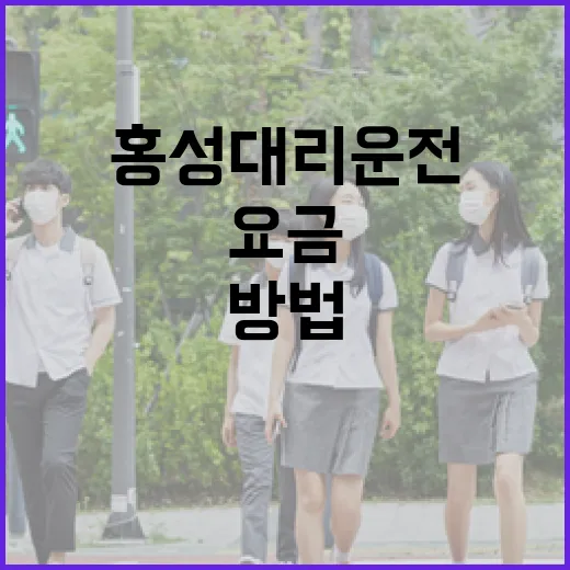 홍성대리운전 부를 때 요금과 이동 동선 아끼는 방법 - 요약