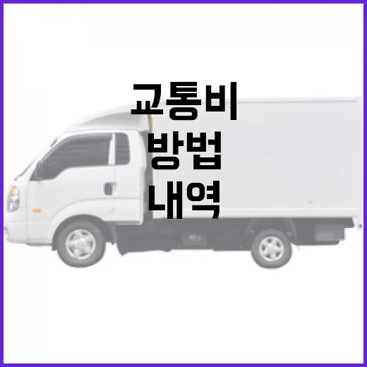 필랑트가 교통비 내역에 찍혔을 때 확인하는 방법 - 요약