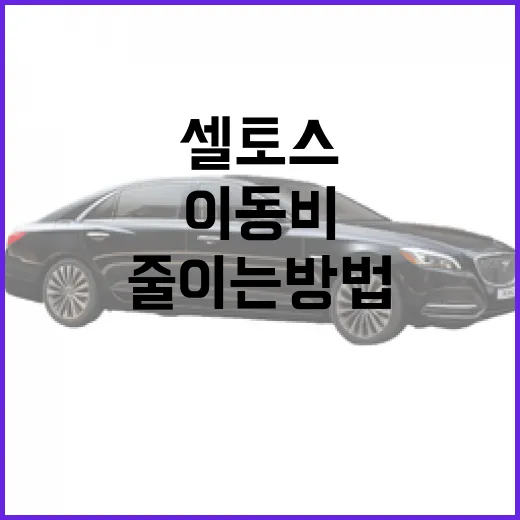 셀토스 타고 고속도로·도심 이동비 줄이는 방법 - 요약