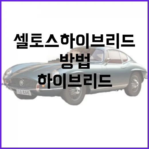 셀토스 하이브리드 사려면 통행비까지 계산하는 방법 - 요약