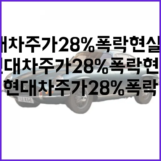 현대차 주가 28% 폭락 현실은? 숫자부터 확인하는 방법 - 요약