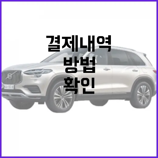 필랑트 결제내역이 교통요금인지 확인하는 방법 - 요약
