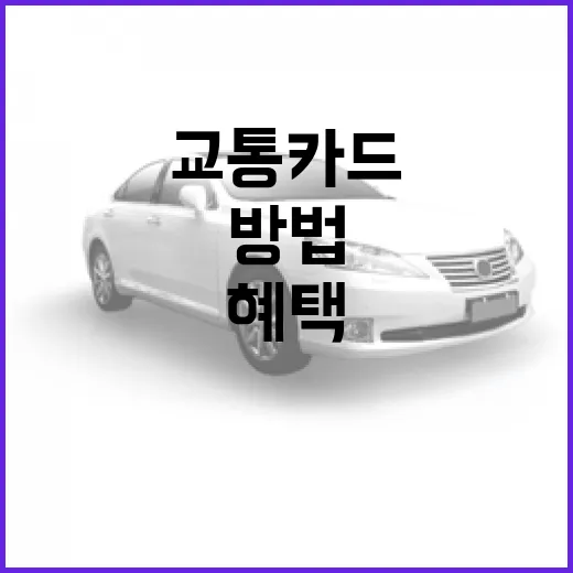 필랑트가 교통카드 혜택인지 확인하는 방법 - 요약