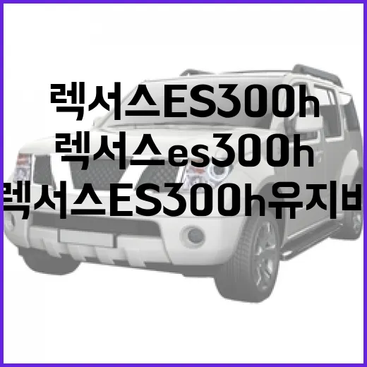 렉서스 ES300h 유지비와 하이패스 통행료 아끼려면 이렇게 계산하세요 - 요약