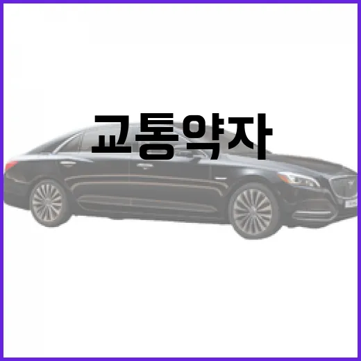 PV5 타려면 이렇게: 셔틀·교통약자 이동수단에서 요금 확인하는 방법 - 요약