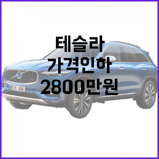 테슬라 2800만 원 가격 인하 후 실제 구매가 계산하는 방법 - 요약