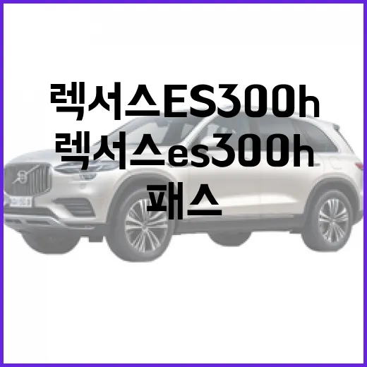 렉서스 ES300h 하이패스와 주차 결제 세팅하는 방법 - 요약