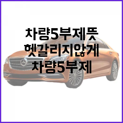 차량 5부제 뜻, 초보자도 헷갈리지 않게 확인하는 방법 - 요약
