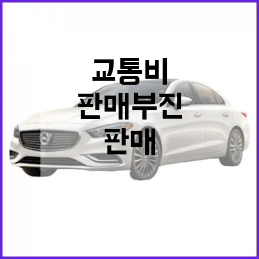 이 차, 판매 부진 심각할 때 교통비까지 따져 사는 방법 - 요약
