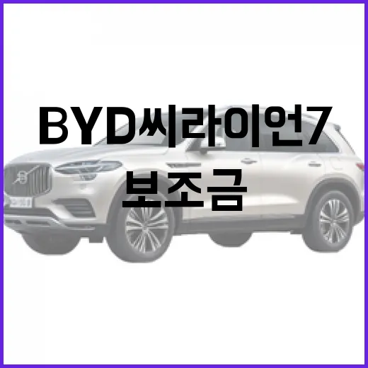 BYD 씨라이언7 구매하려면 보조금·충전비·하이패스까지 이렇게 계산하세요 - 요약