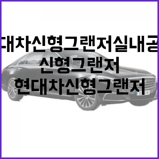 현대차 신형 그랜저 실내 공개 사진으로 옵션 고르는 방법 - 요약