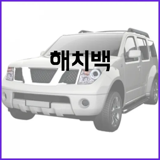 해치백 뜻 헷갈릴 때 이렇게 구분하는 방법 - 요약
