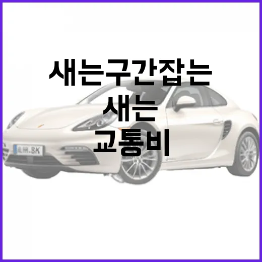 셋로그로 교통비 새는 구간 잡는 방법 - 요약