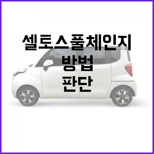 셀토스 풀체인지 기다릴지 사도 될지 판단하는 방법 - 요약