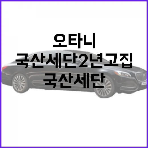 오타니처럼 국산 세단 2년 고집하려면 이렇게 관리하면 됩니다 - 요약