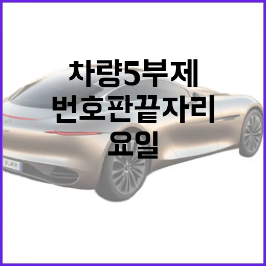 차량 5부제 요일 확인하는 방법, 번호판 끝자리만 보면 됩니다 - 요약