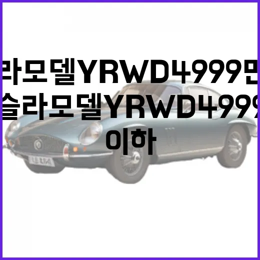 테슬라 모델Y RWD 4999만 이하로 맞추려면 이렇게 확인하세요 - 요약