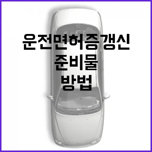 운전면허증 갱신 준비물 한 번에 챙기는 방법 - 요약