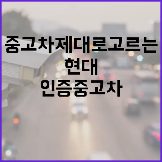 현대중고차 제대로 고르는 방법, 인증중고차에서 통행비까지 보는 순서 - 요약