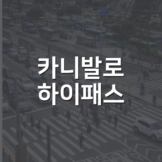 카니발로 하이패스·주차·통행료 아끼는 방법, 7인승부터 11인승까지 이렇게 보면 됩니다 - 요약