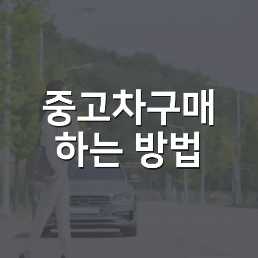 중고차구매 하는 방법, 하이패스와 교통비까지 확인하는 실전 체크 - 요약