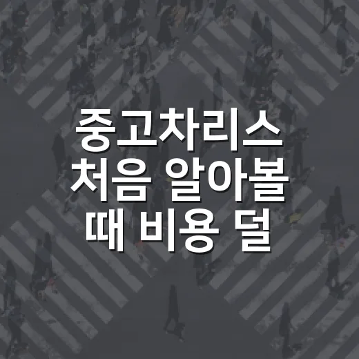 중고차리스 처음 알아볼 때 비용 덜 새는 방법 - 요약