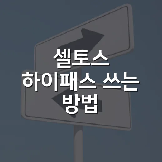 셀토스 하이패스 쓰는 방법, 톨게이트에서 덜 헤매려면 이렇게 - 요약