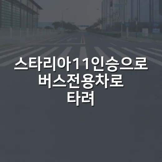 스타리아11인승으로 버스전용차로 타려면 이렇게 확인하세요 - 요약