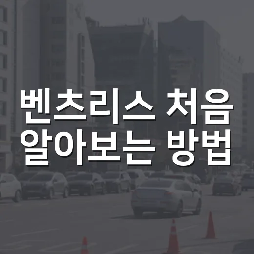 벤츠리스 처음 알아보는 방법, 월 납입료보다 먼저 봐야 할 조건들 - 요약