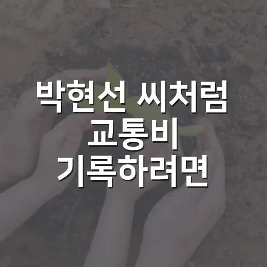 박현선 씨처럼 교통비 기록하려면 이렇게: 교통카드·하이패스 요금 체크하는 방법 - 요약