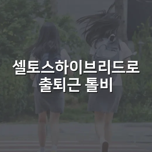 셀토스하이브리드로 출퇴근 톨비·주유비 계산하는 방법 - 요약
