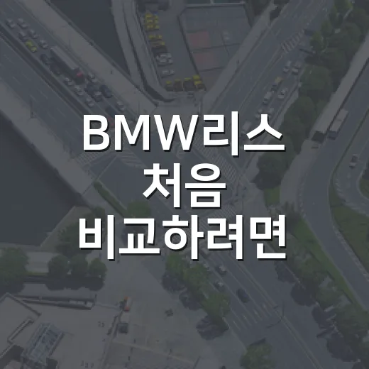 BMW리스 처음 비교하려면 이렇게 계산하세요 - 요약